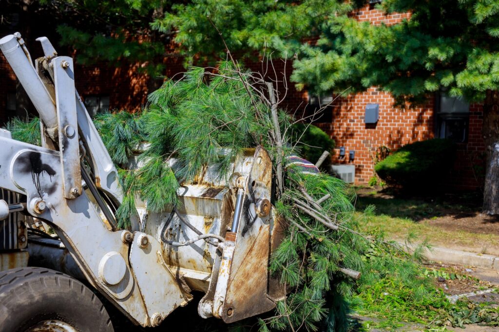 Pile tree branches in the city street removal of branch removal in tractor bucket.