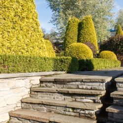 Cottage garden with stone stairs and retaining wall