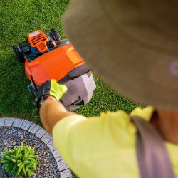 Gardener Lawn Mowing